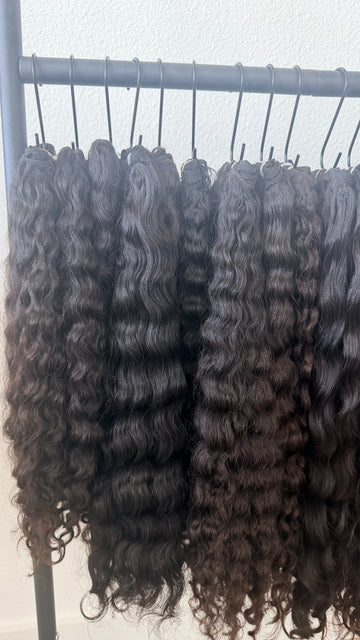Burmese Curly